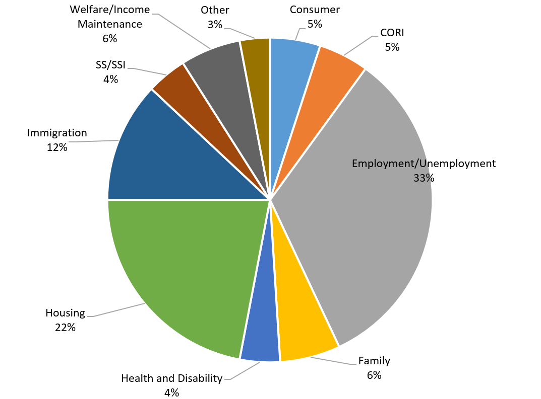 GBLS 2020 legal problems handled pie chart