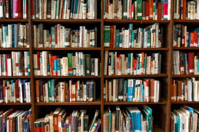 Image of many rows of colorful books on a bookshelf